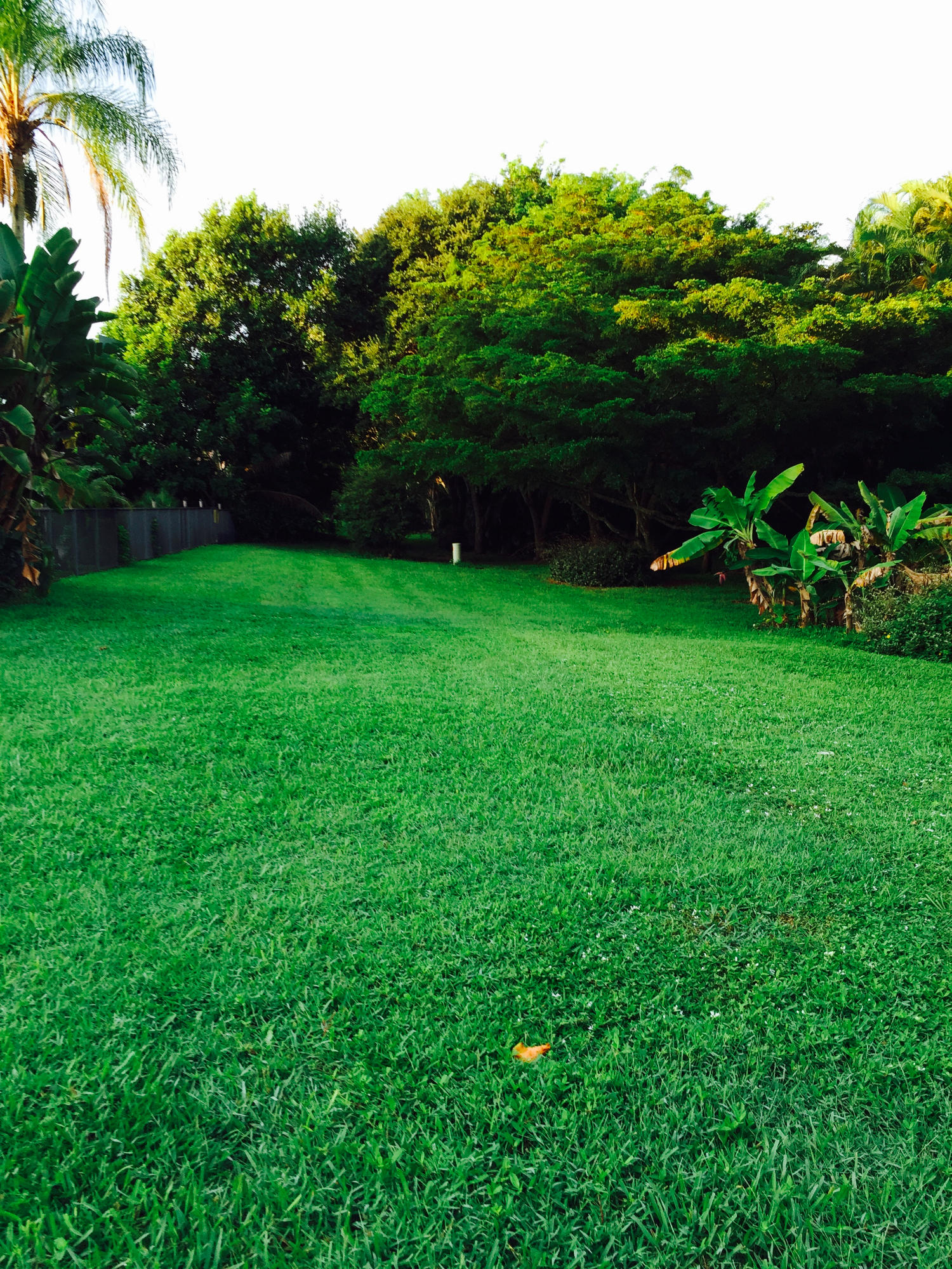 5879 Hamilton Way Boca Raton, FL 33496 - Photo 64 of 69 Backyard