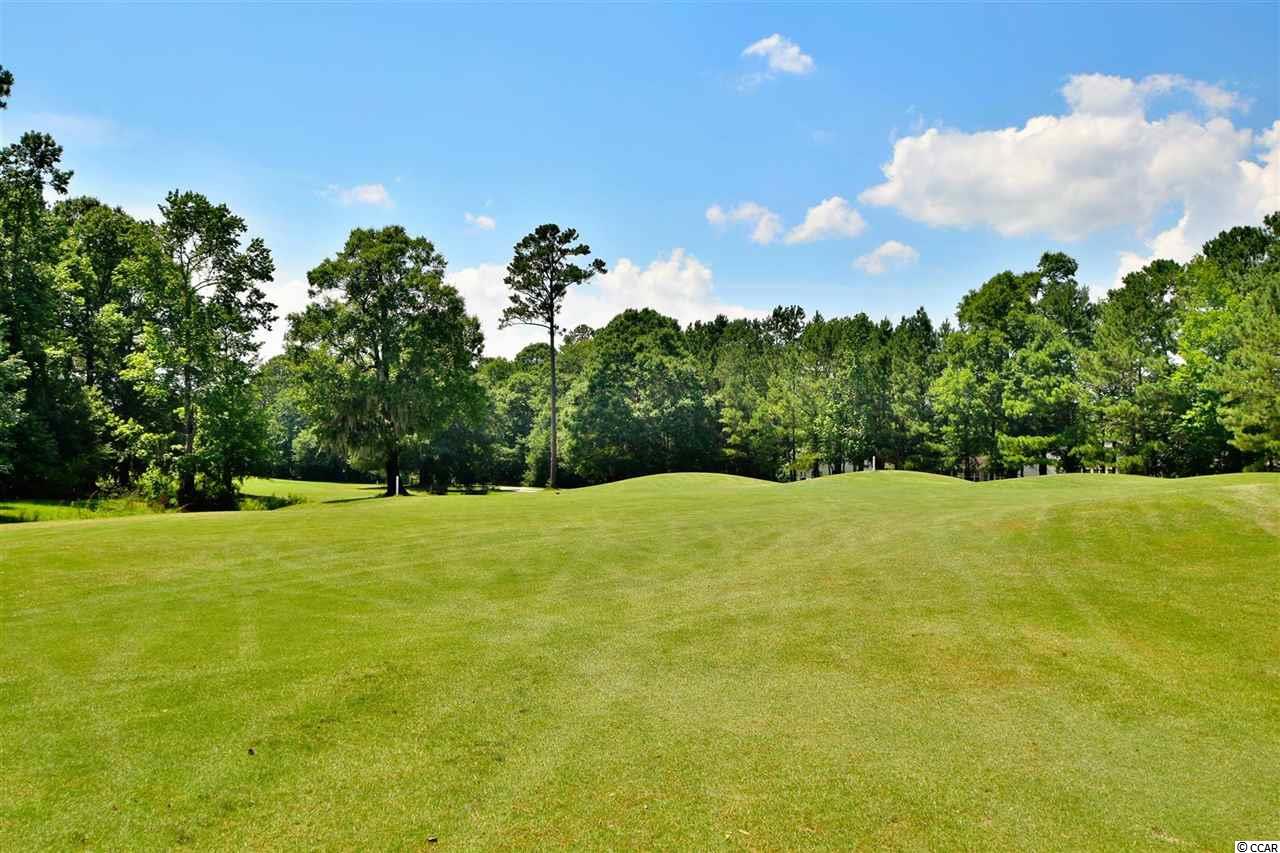 1483 Medinah Lane Murrells Inlet, SC 29576 - Photo 23 of 24 Gallery Image 23