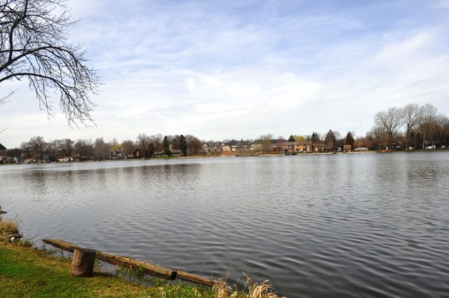 1020 Robertson Road South Elgin, IL 60177 - Photo 10 of 11 a view of a lake with houses in the back