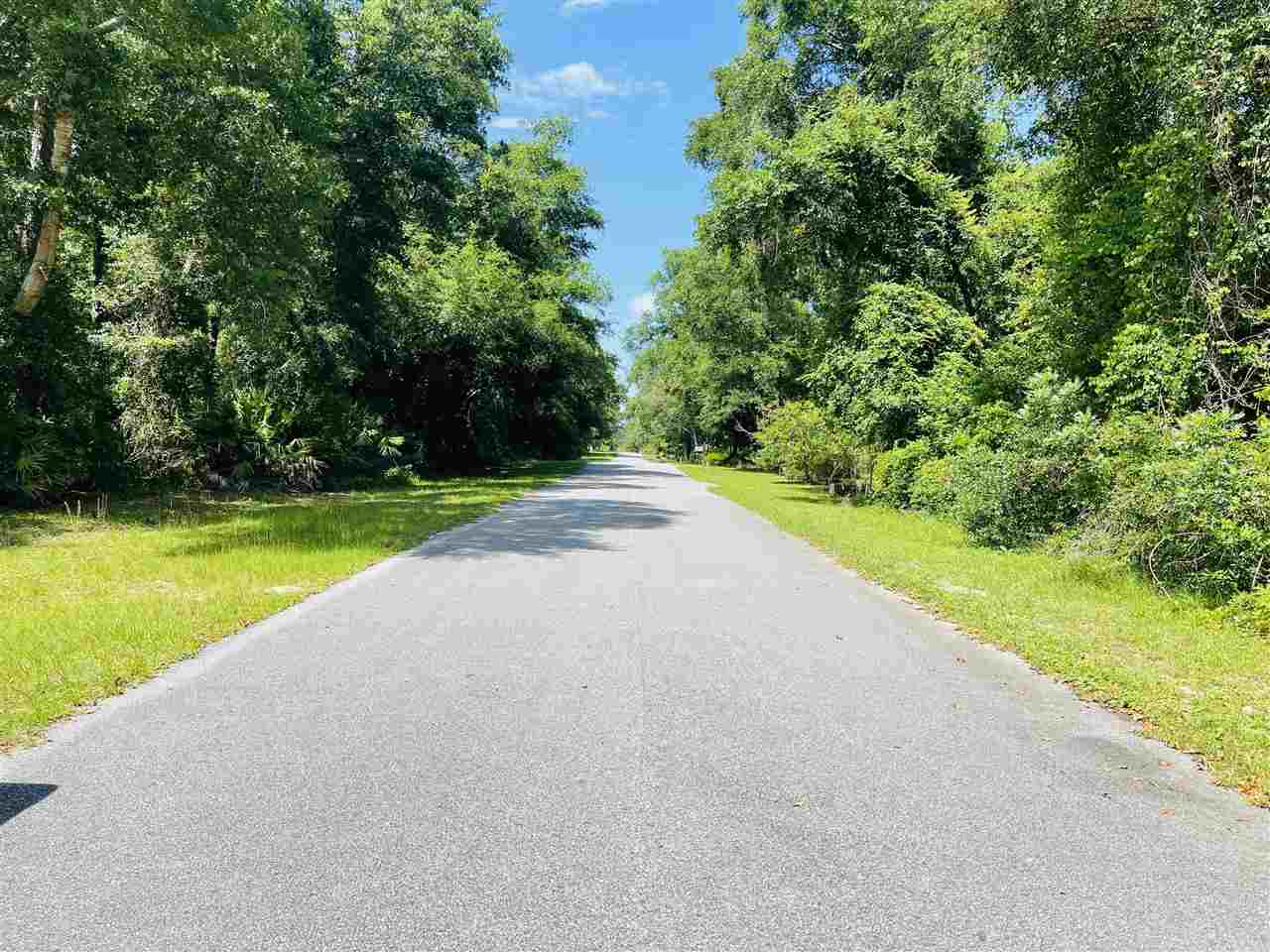 3297 Horseshoe Cove Road Waverly, GA 31565 - Photo 6 of 22