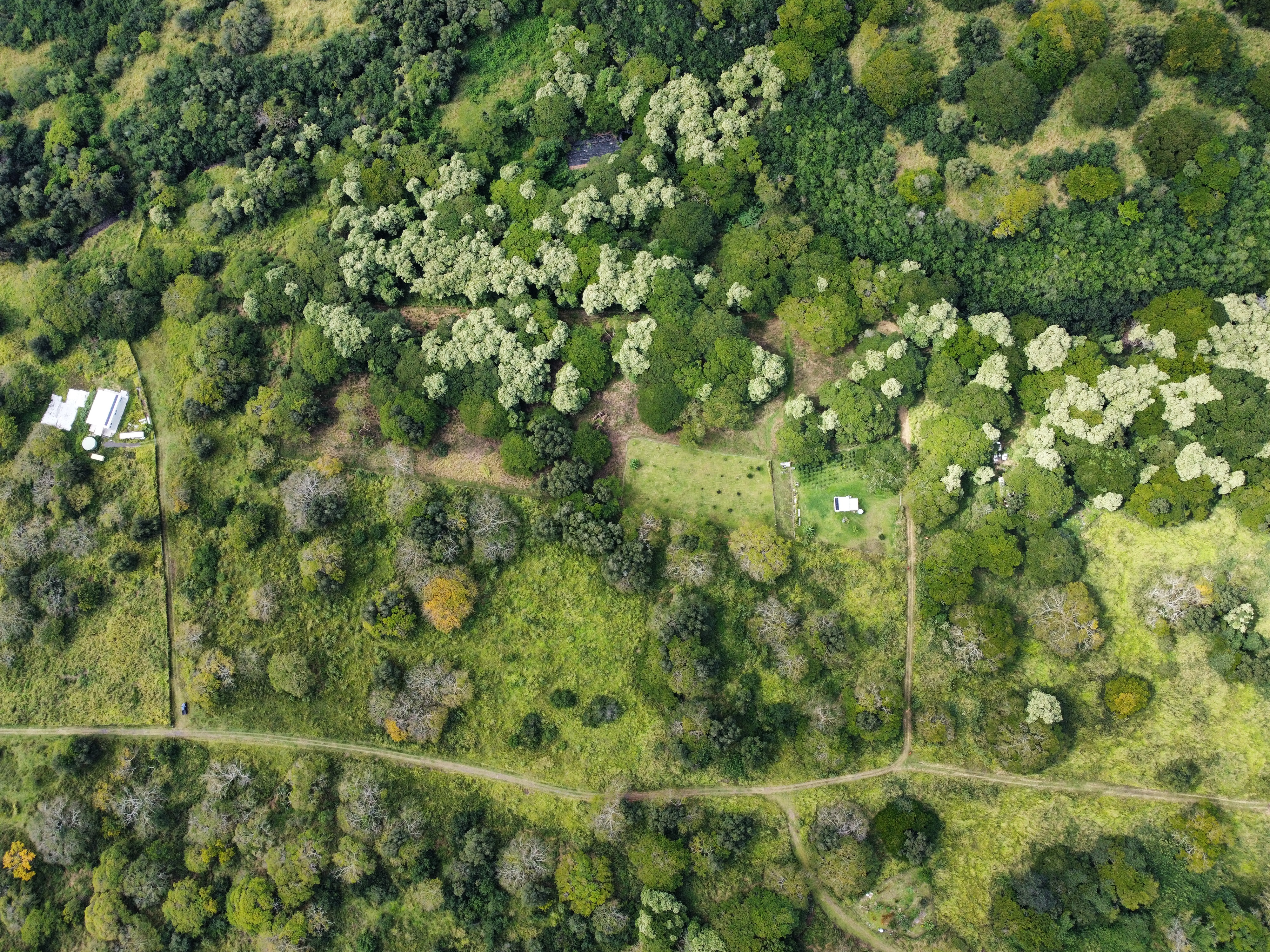 7 Lot Naalehu, HI 96772 - Photo 12 of 24 a view of a lush green field