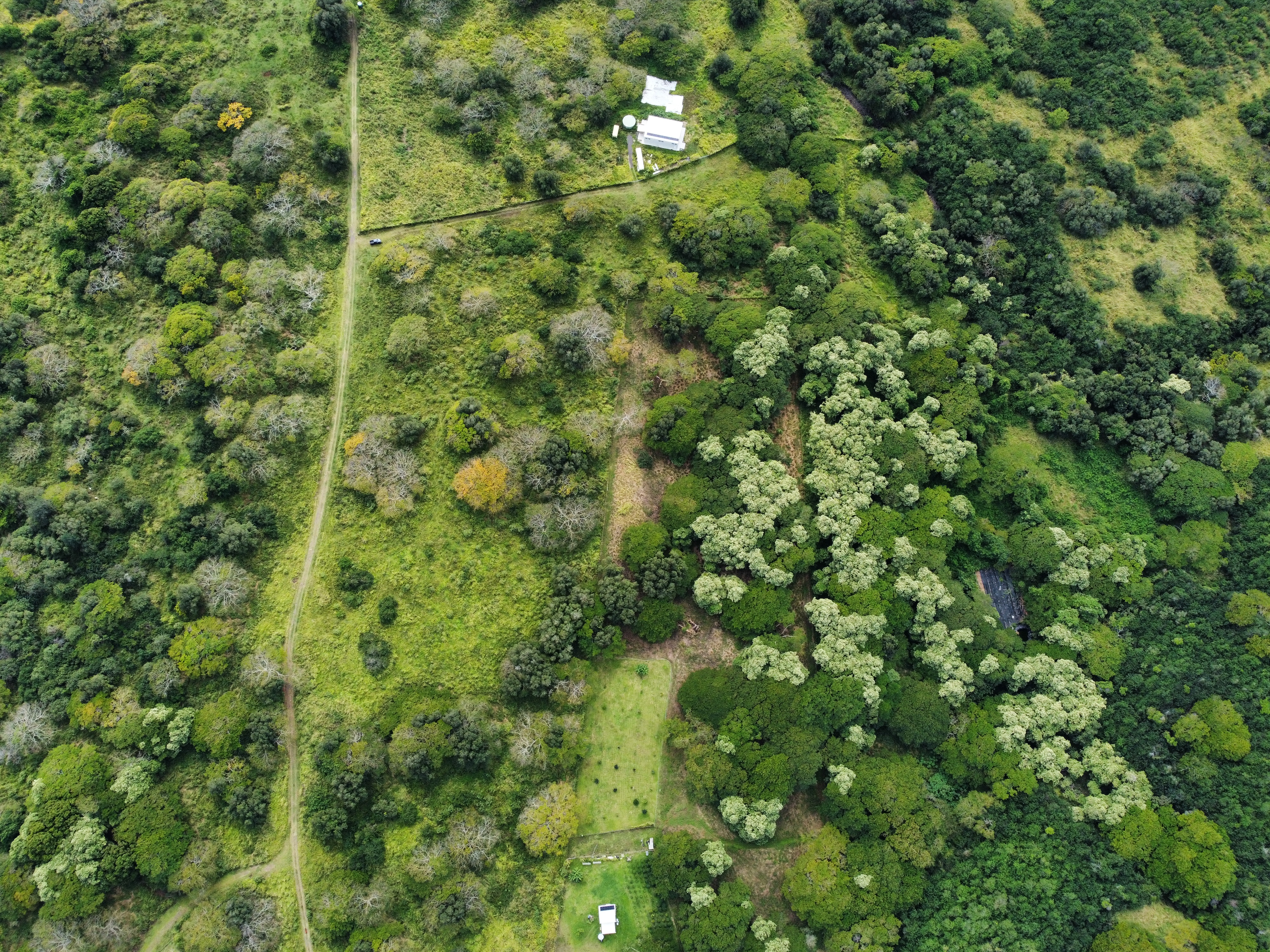 7 Lot Naalehu, HI 96772 - Photo 14 of 24 a view of a lush green forest