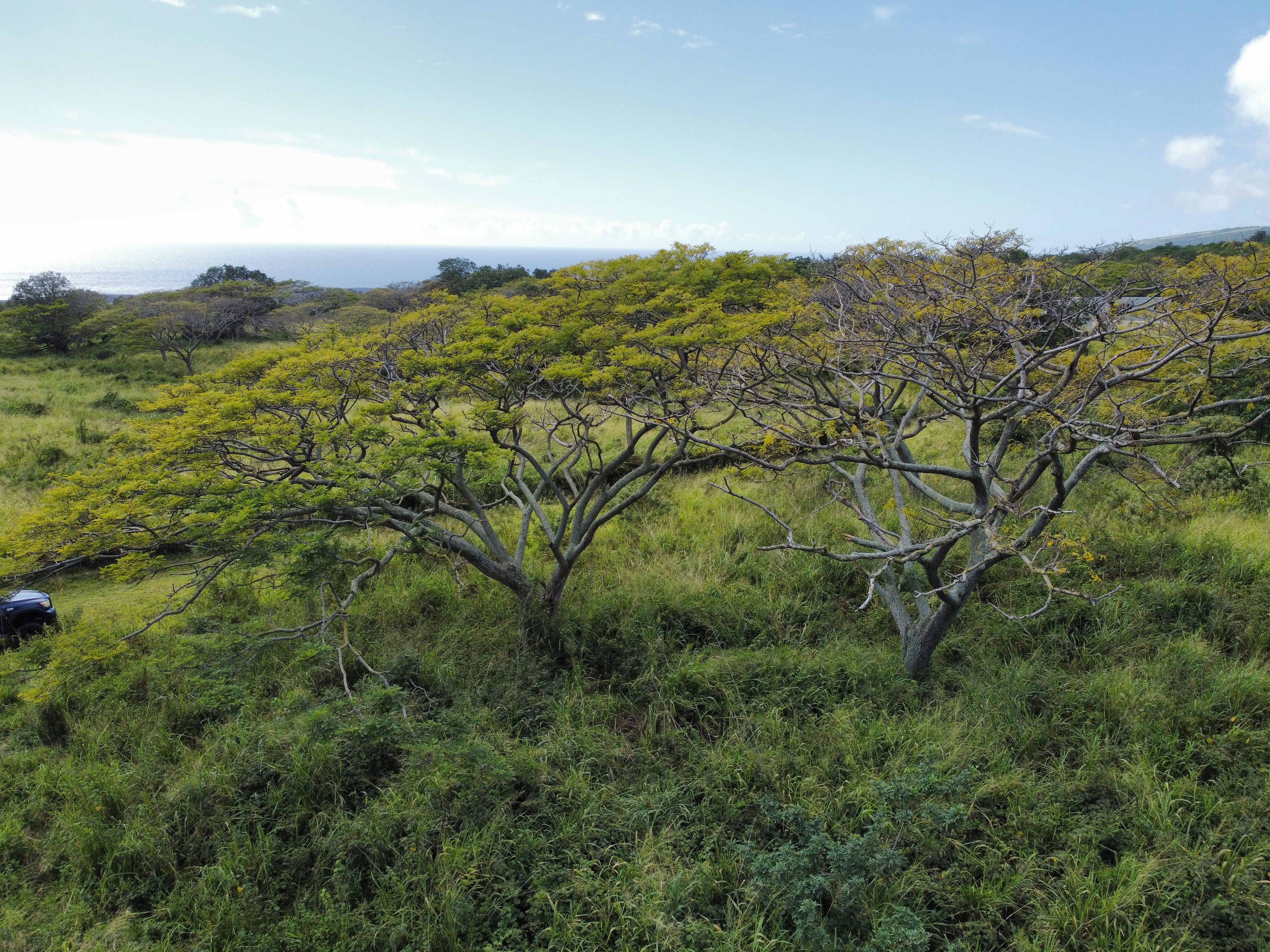 7 Lot Naalehu, HI 96772 - Photo 15 of 24