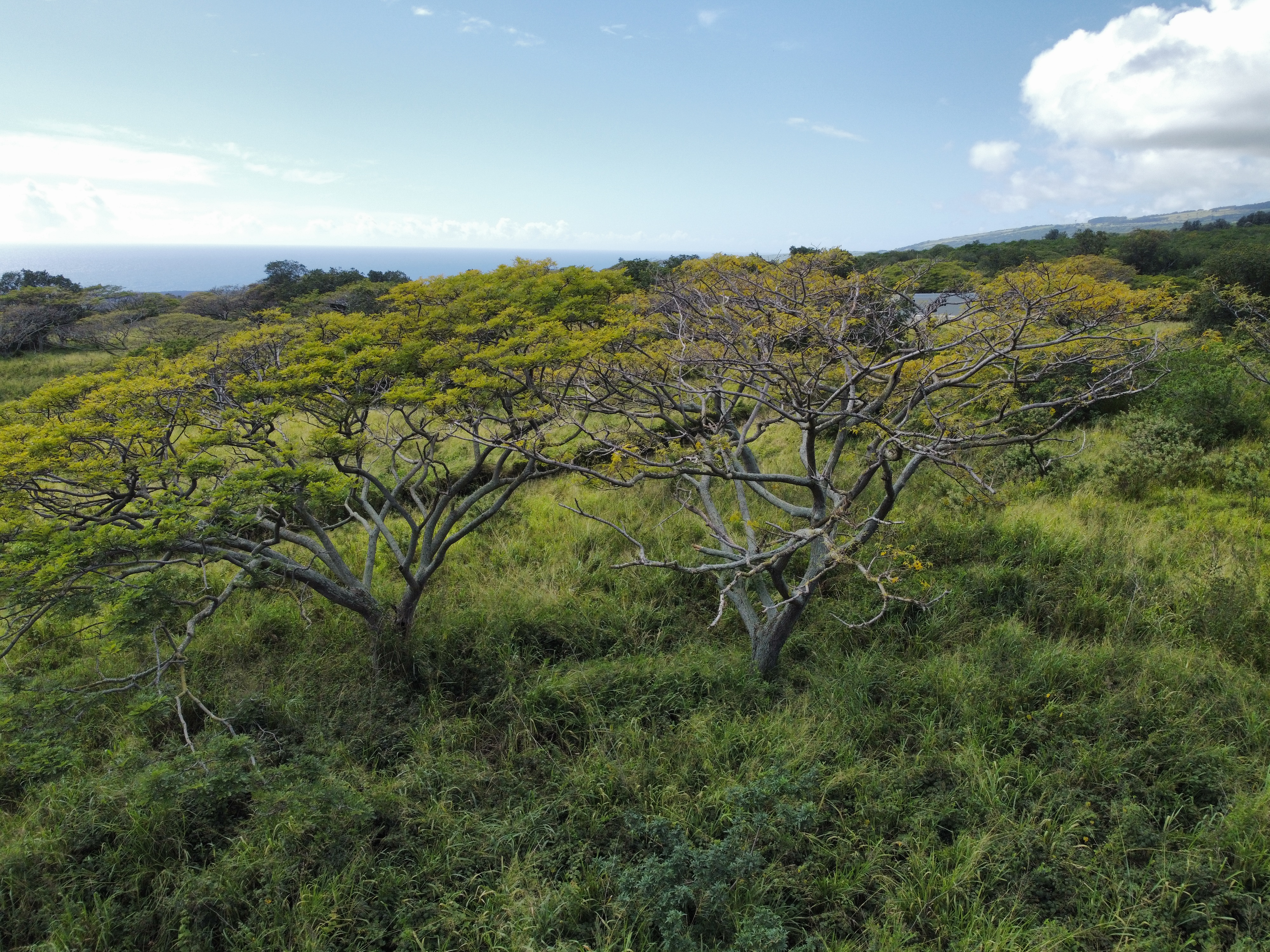 7 Lot Naalehu, HI 96772 - Photo 3 of 24 a view of a city
