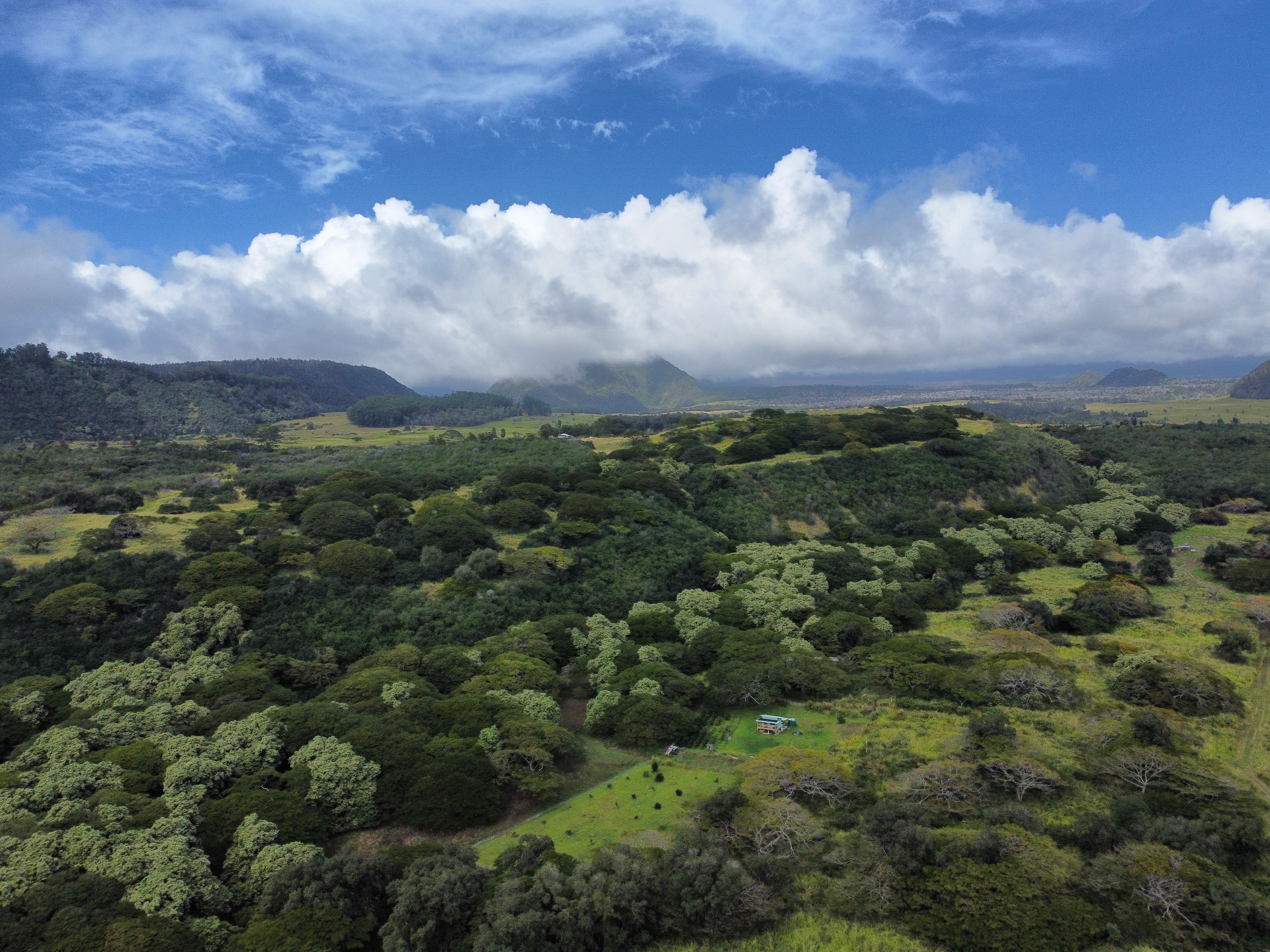 7 Lot Naalehu, HI 96772 - Photo 7 of 24 a view of a city with lush green forest