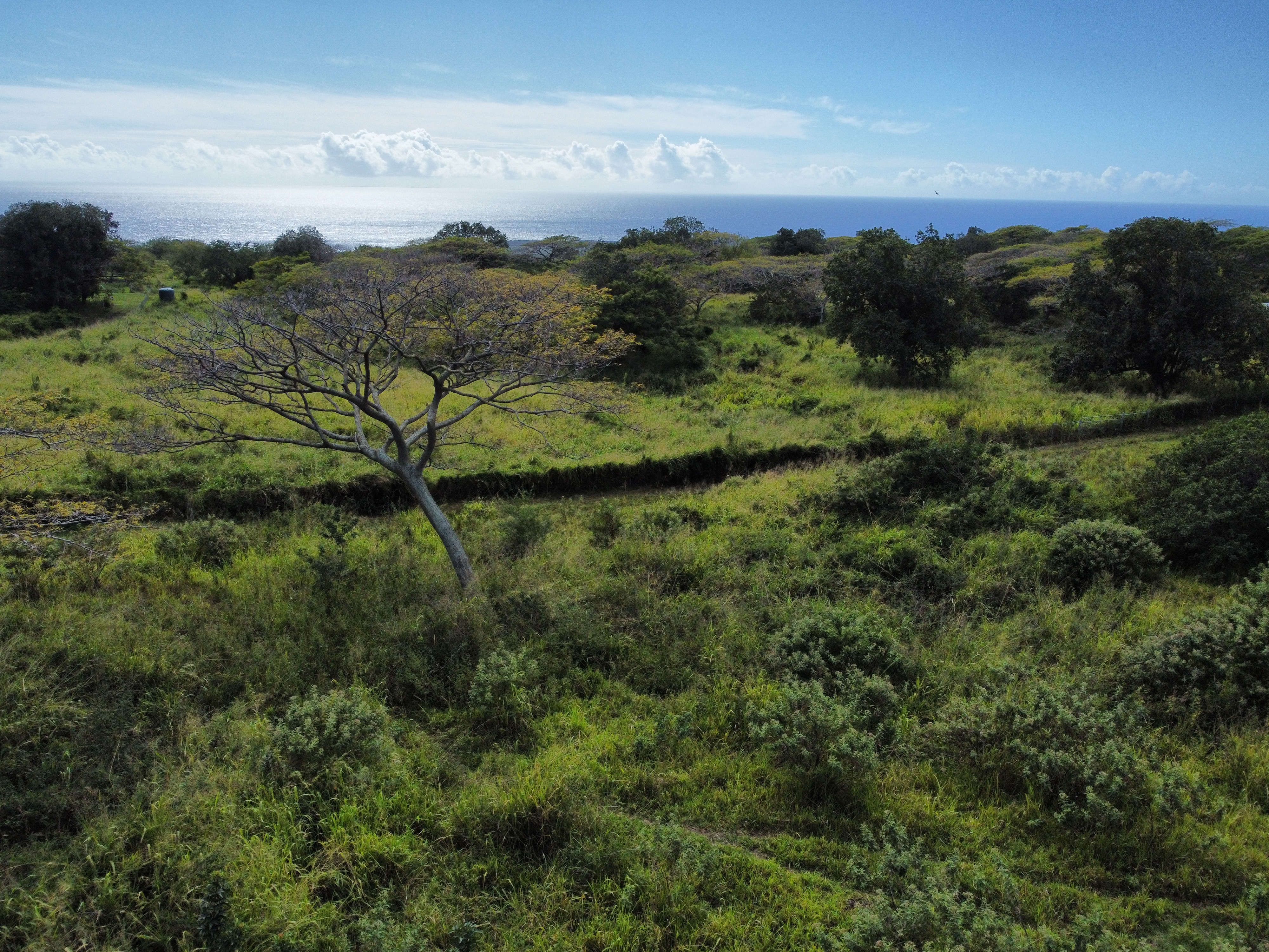 7 Lot Naalehu, HI 96772 - Photo 8 of 24 a view of a lake in middle of forest