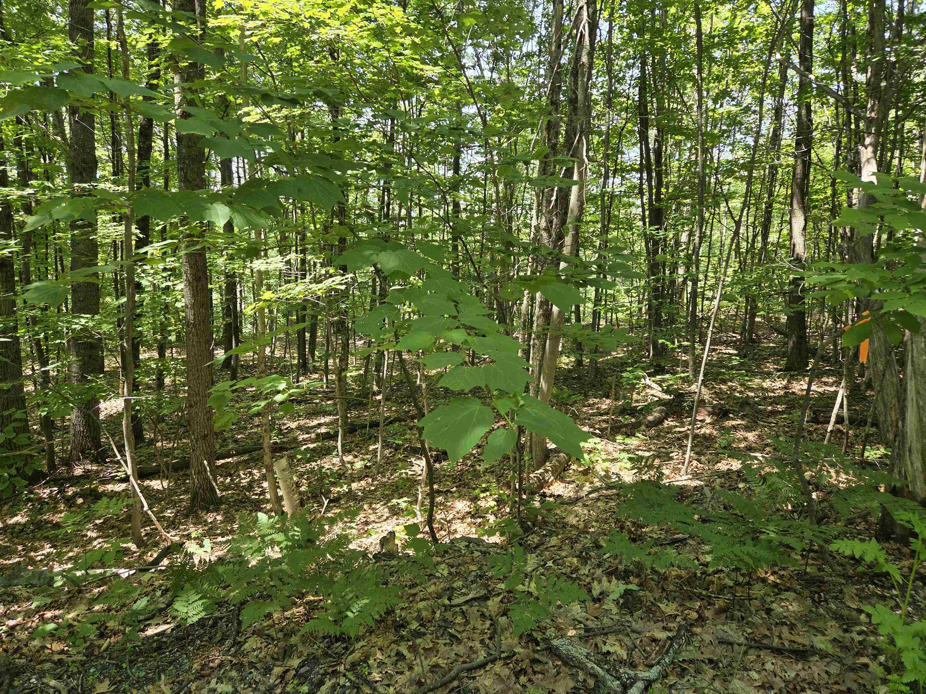 X Methodist Hill Road Enfield, NH 03748 - Photo 1 of 6