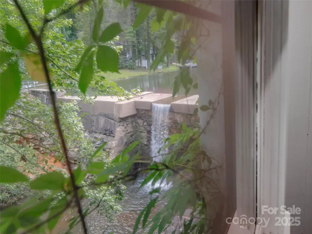 a view of a tree with plants