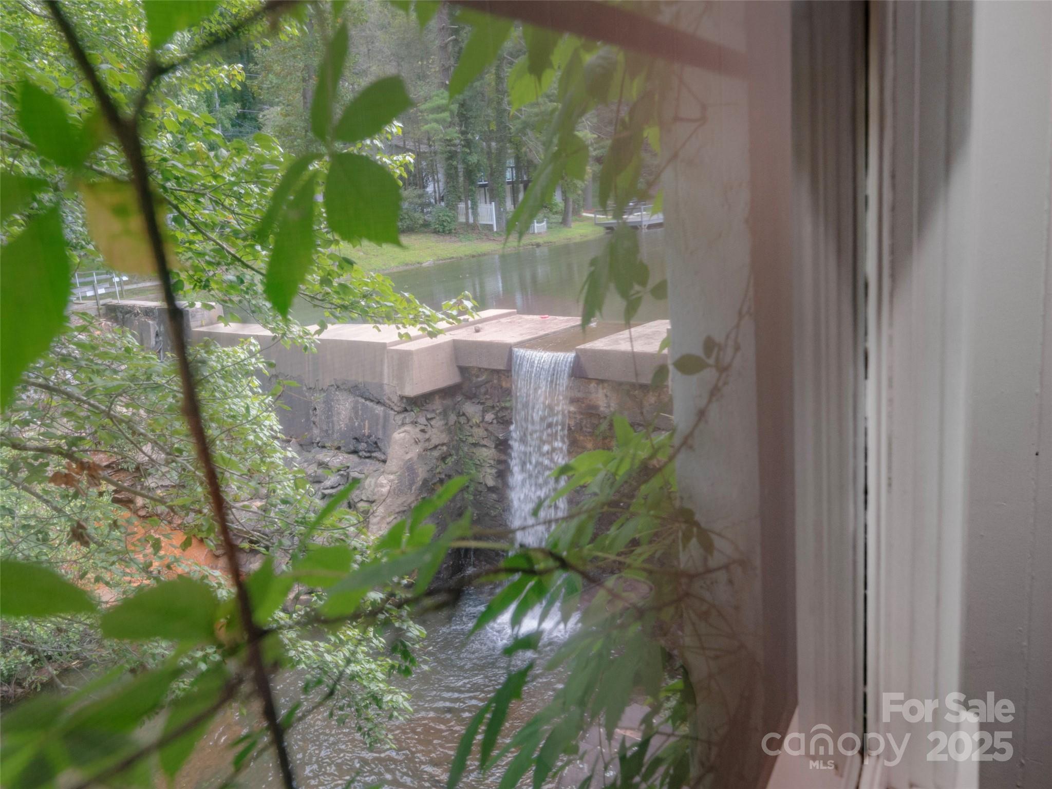 1150 West Blue Ridge Road, Unit 103 Flat Rock, NC 28731 - Photo 11 of 27 a view of a tree with plants