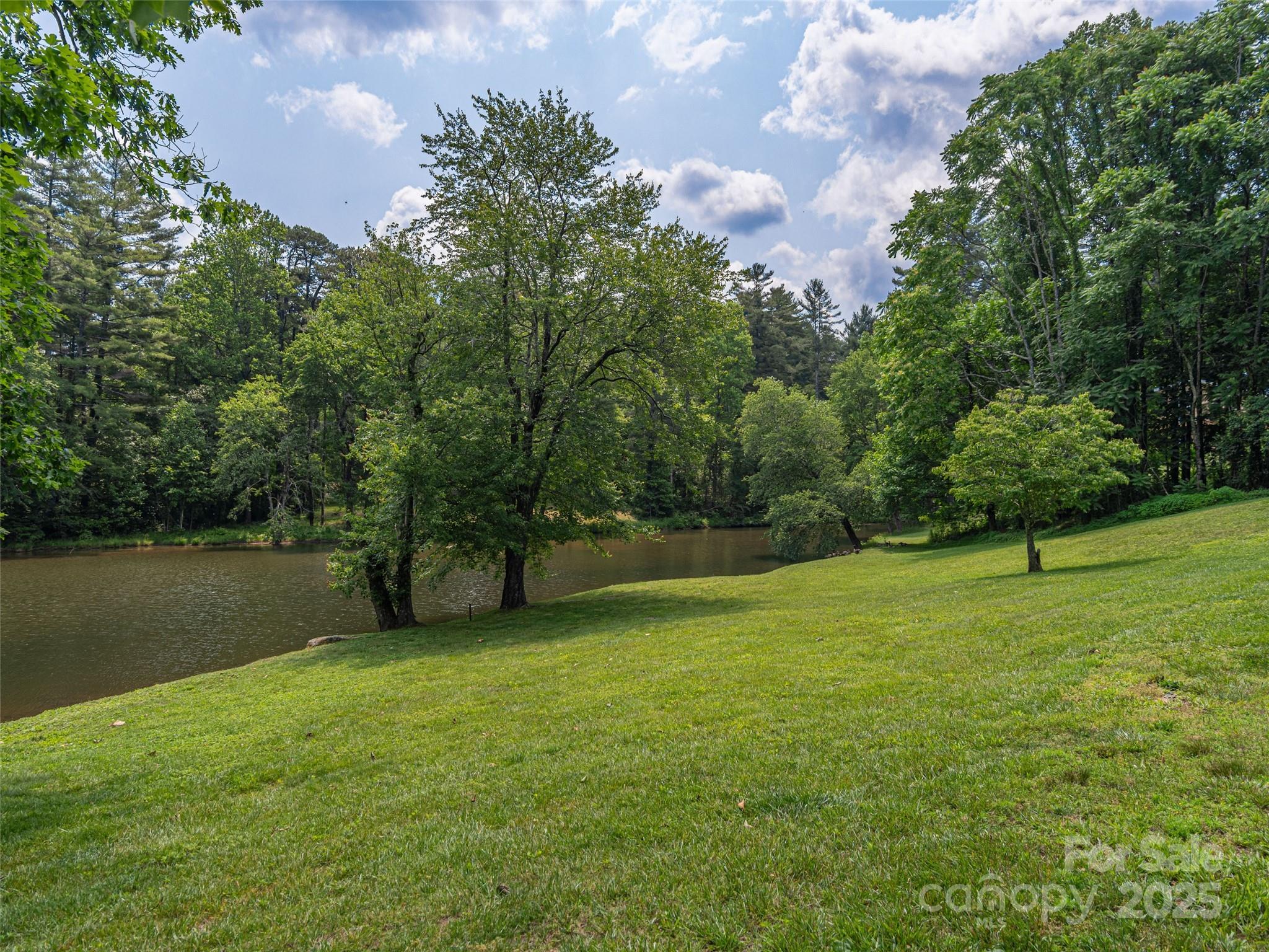 1150 West Blue Ridge Road, Unit 103 Flat Rock, NC 28731 - Photo 16 of 27 a view of an outdoor space and a yard