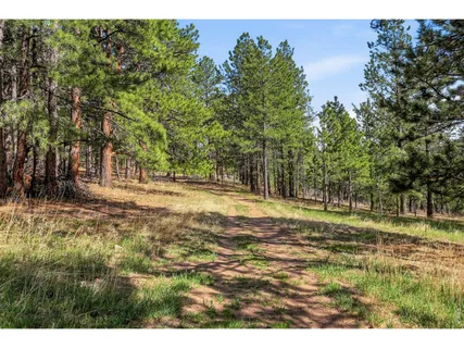 $995,000 | 560 Quillan Gulch Road, Loveland, CO 80537