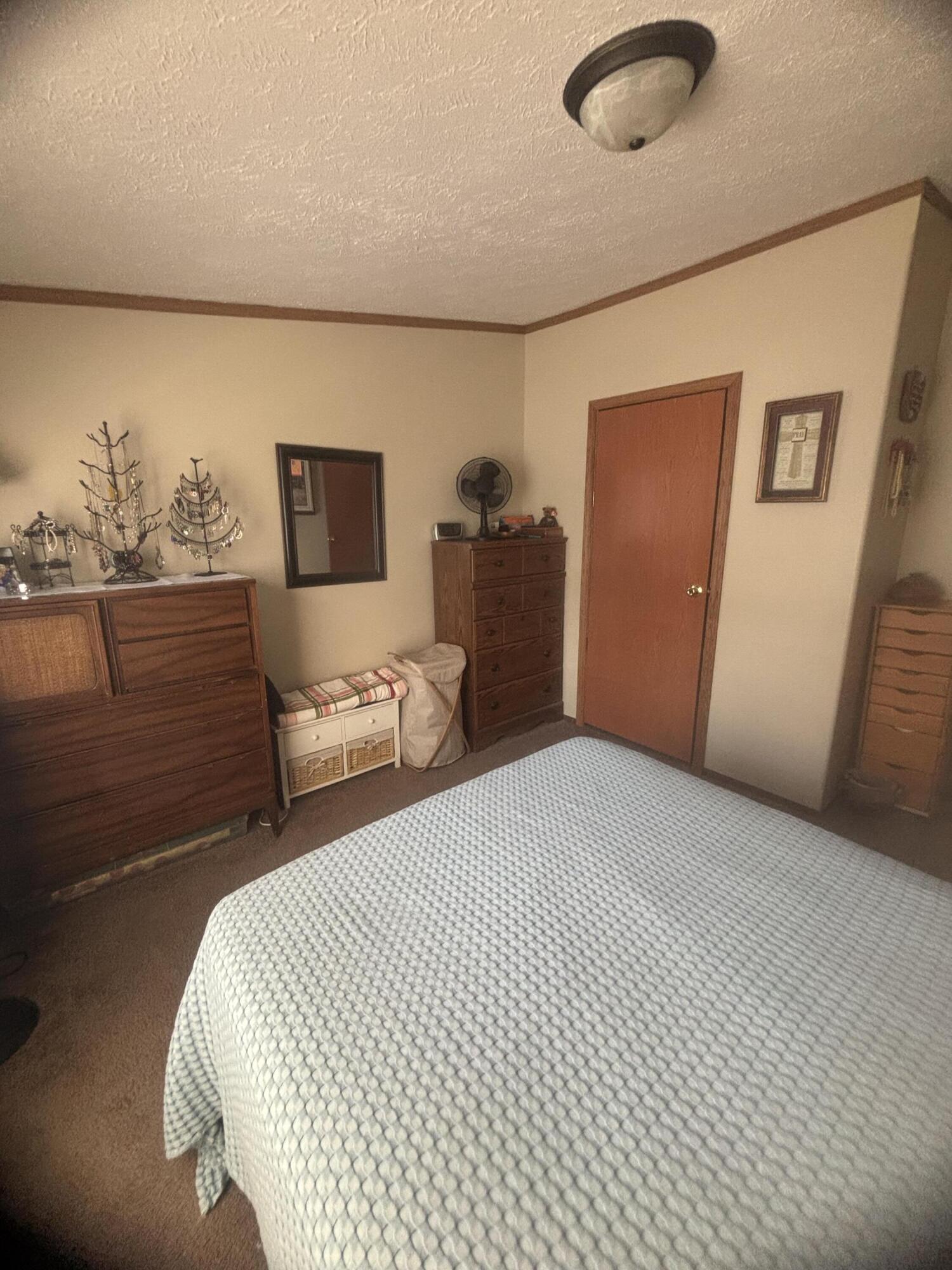 6704 Mill Stream Lane Lansing, MI 48911 - Photo 16 of 22 IMG_0501