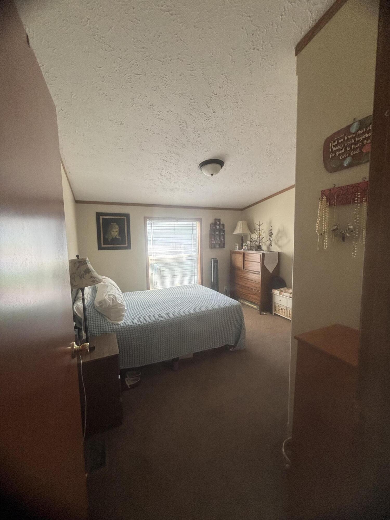 6704 Mill Stream Lane Lansing, MI 48911 - Photo 17 of 22 IMG_0500