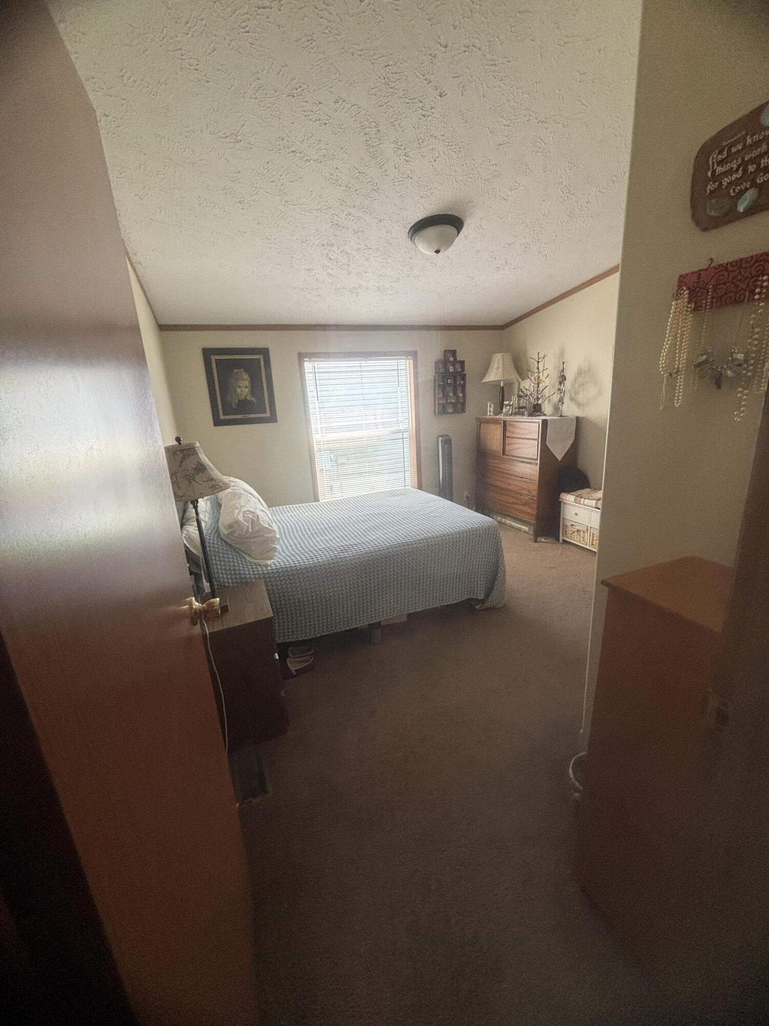 6704 Mill Stream Lane Lansing, MI 48911 - Photo 18 of 22 IMG_0499