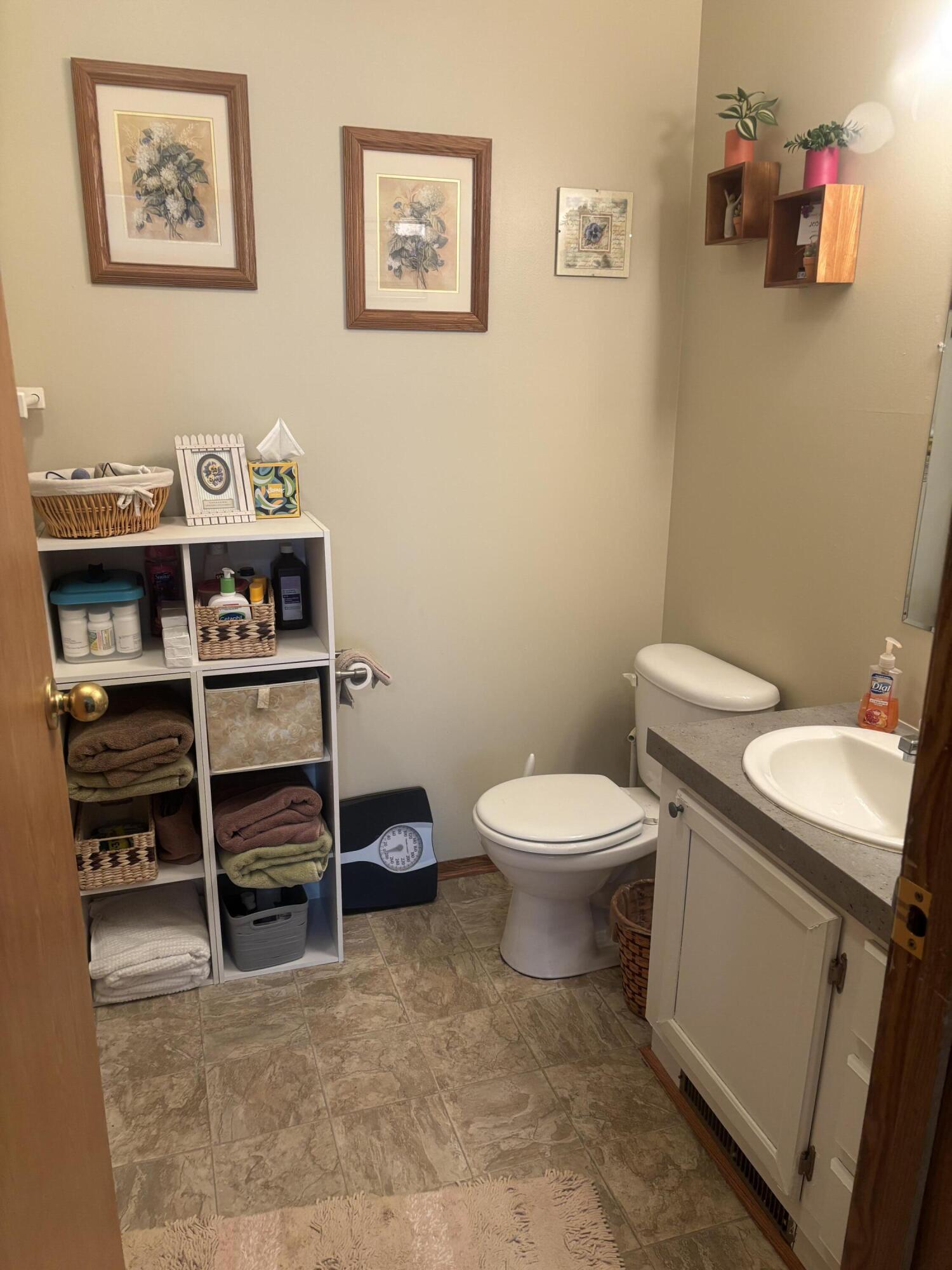 6704 Mill Stream Lane Lansing, MI 48911 - Photo 19 of 22 IMG_0496