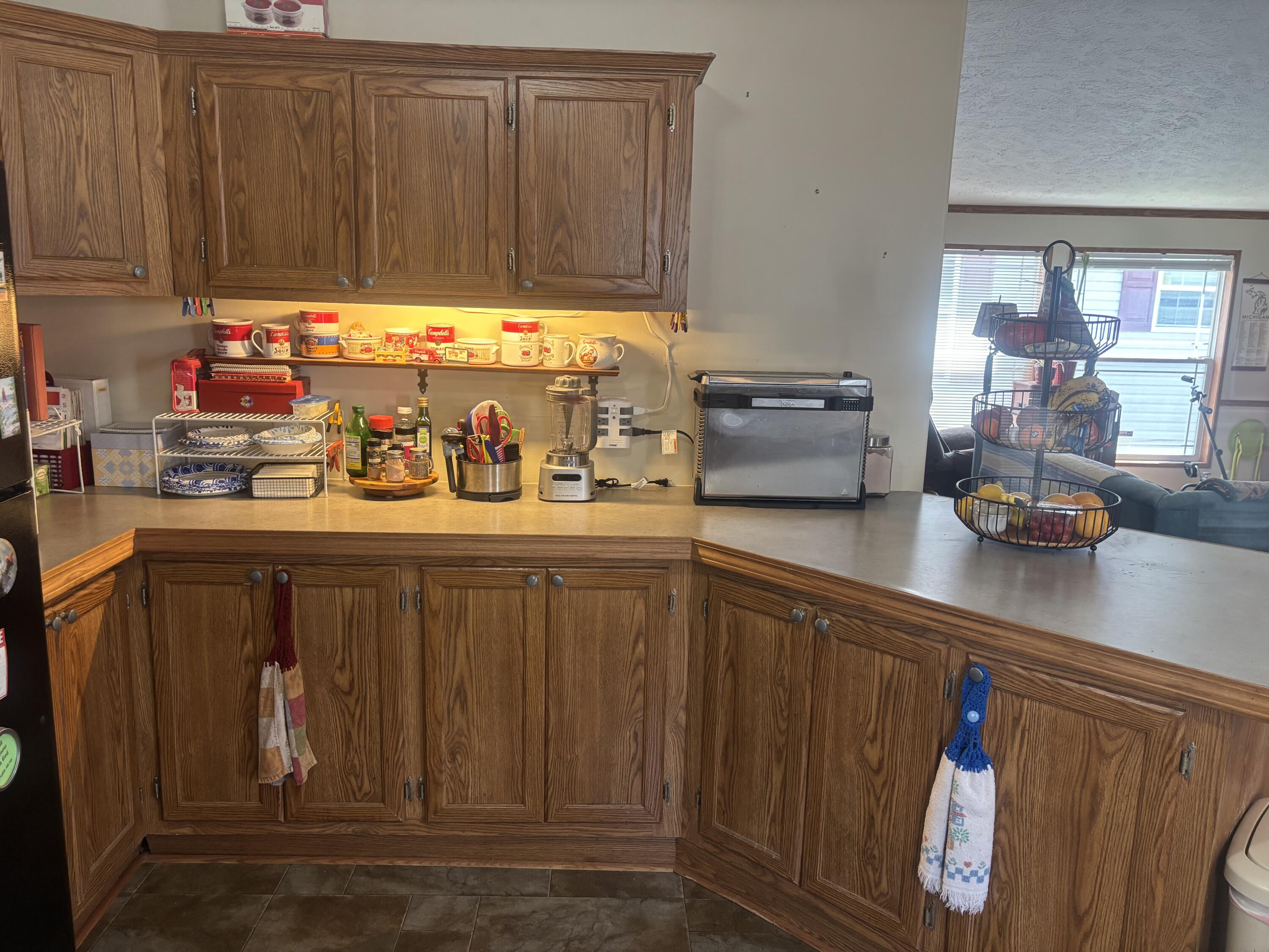 6704 Mill Stream Lane Lansing, MI 48911 - Photo 6 of 22 IMG_0487