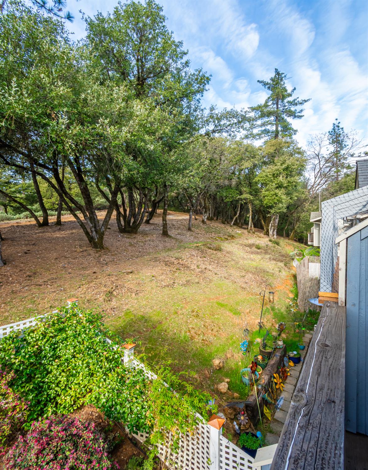 1384 Oak Ridge Drive Colfax, CA 95713 - Photo 23 of 36