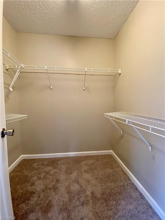 410 Shadybrook Road High Point, NC 27265 - Photo 19 of 43 Main level primary walk-in closet. NEW carpet and NEW shelving.