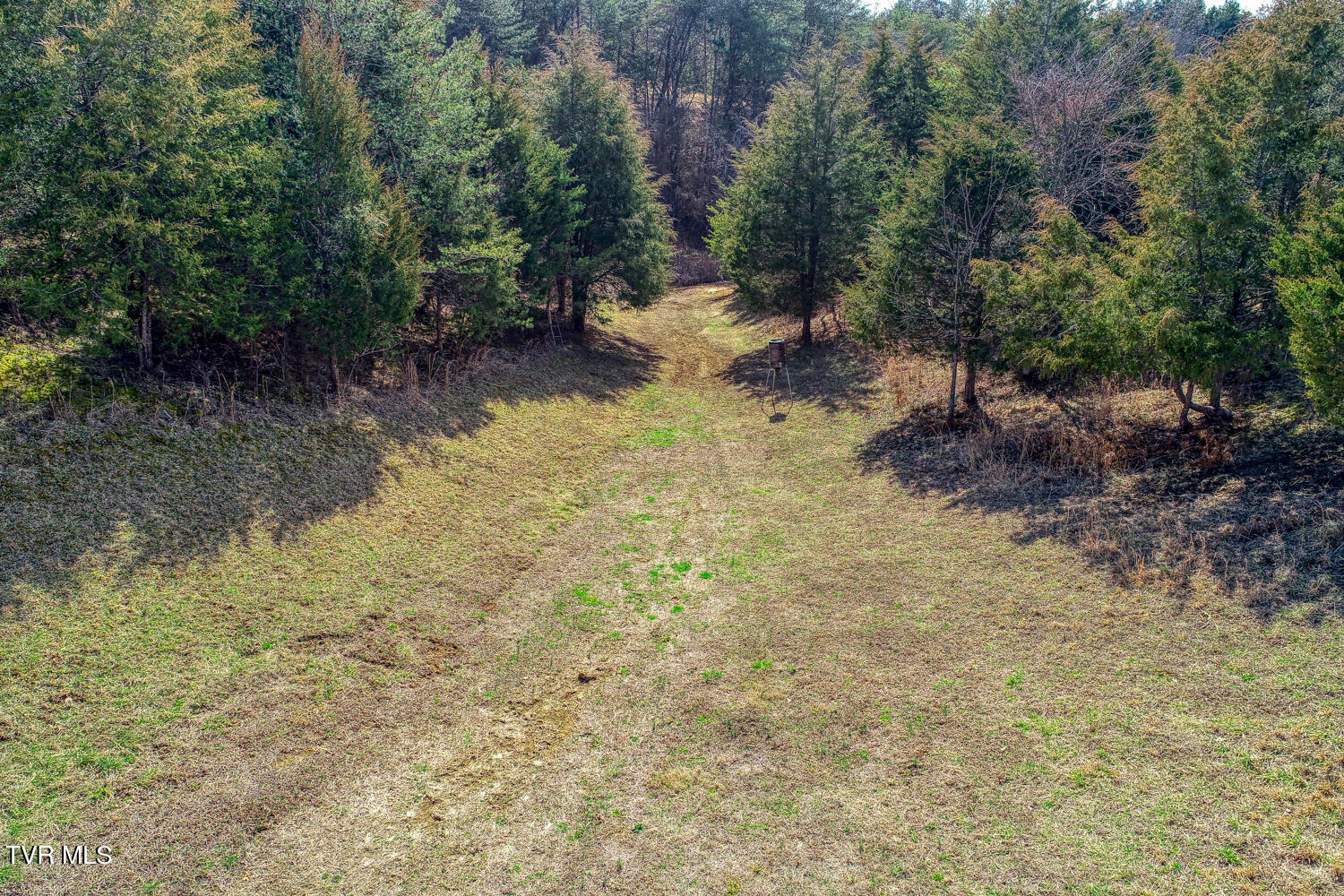 613 Webster Valley Road Rogersville, TN 37857 - Photo 78 of 87 .