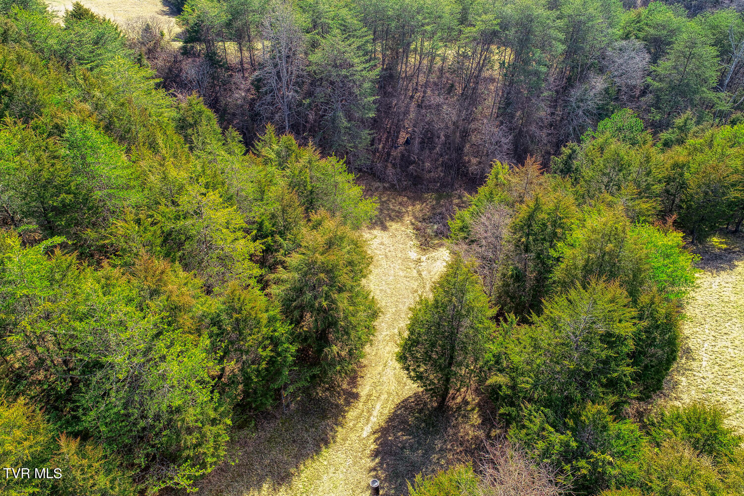 613 Webster Valley Road Rogersville, TN 37857 - Photo 80 of 87 .