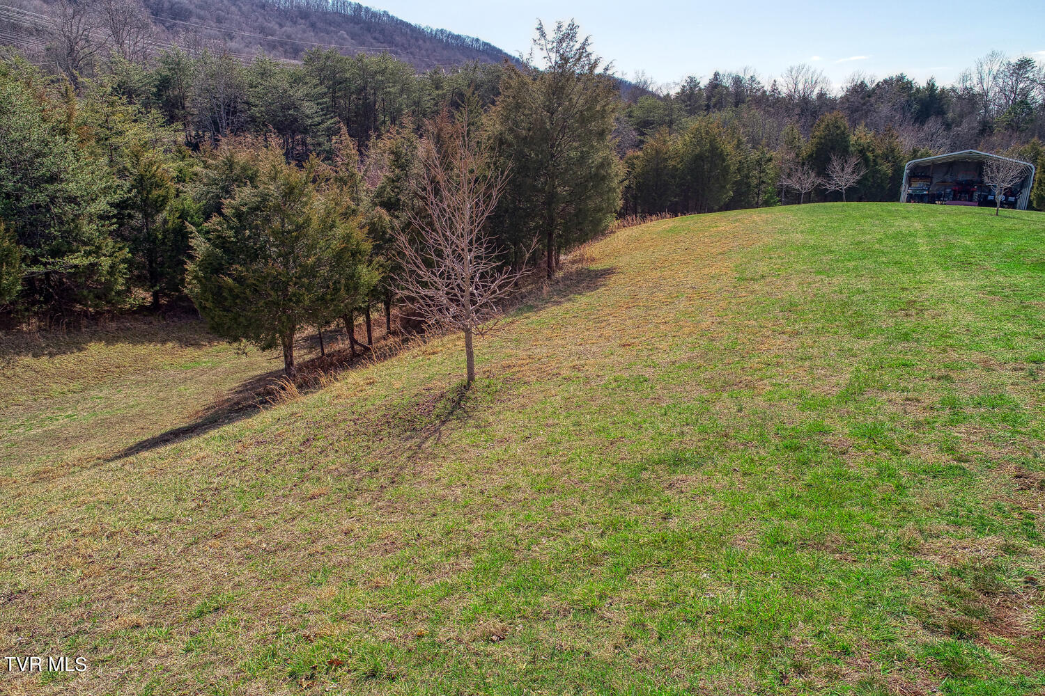 613 Webster Valley Road Rogersville, TN 37857 - Photo 83 of 87 .