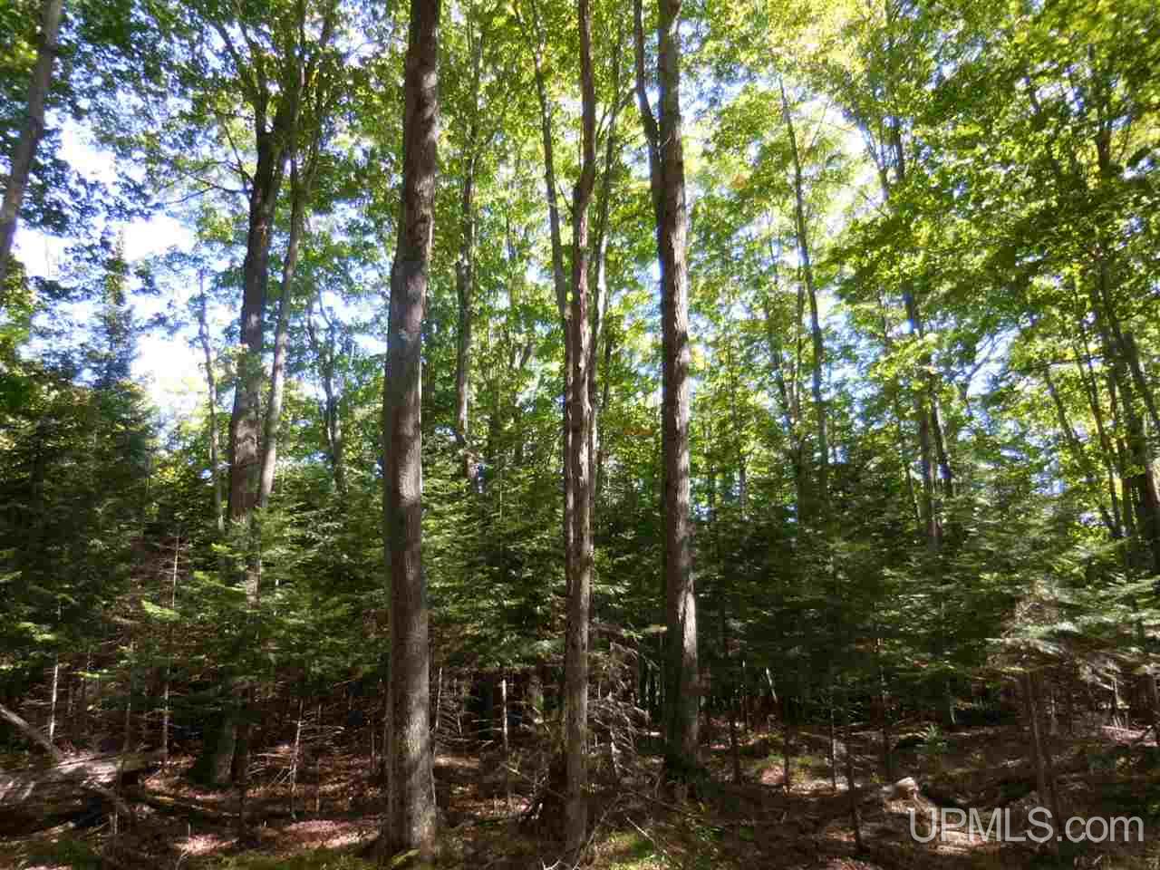 1390 Schnurer Road Manistique, MI 49854 - Photo 8 of 9 Gallery Image 8