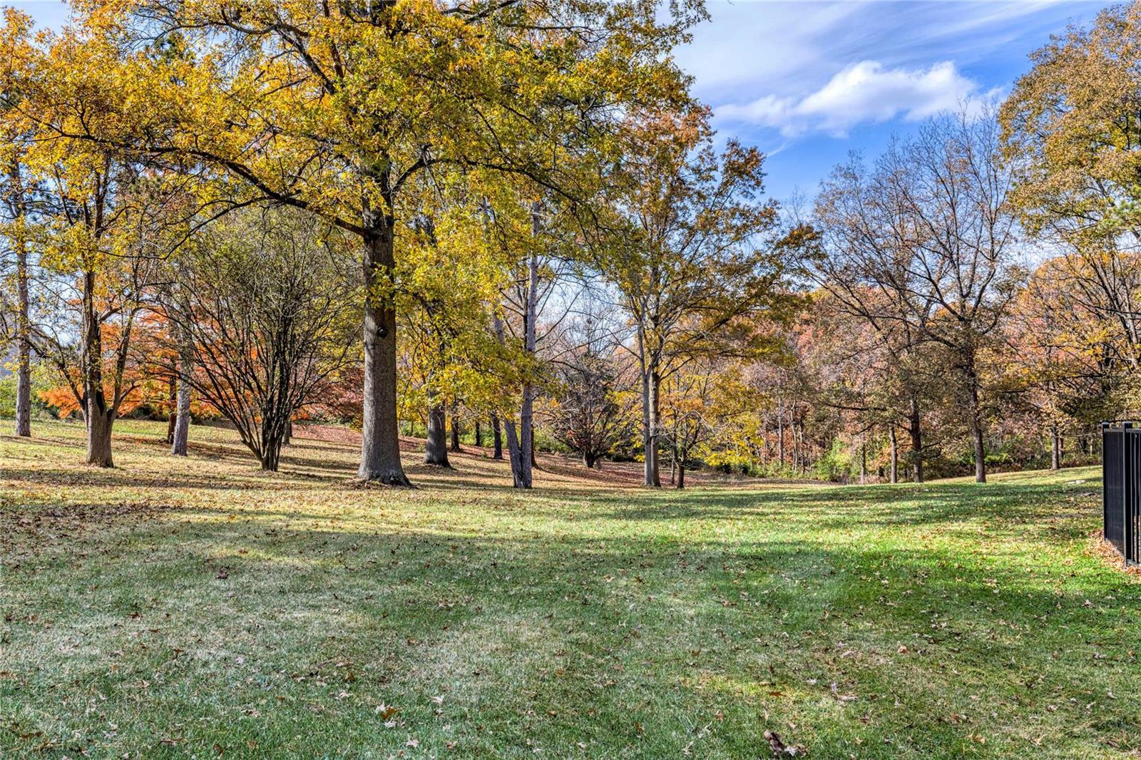 735 Des Peres Road Des Peres, MO 63131 - Photo 41 of 49 Gallery Image 41