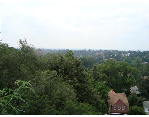 520 Washington Road, Unit 606 Mt. Lebanon, PA 15228 - Photo 6 of 7 Patio/Deck. You can t go wrong with a view like this!