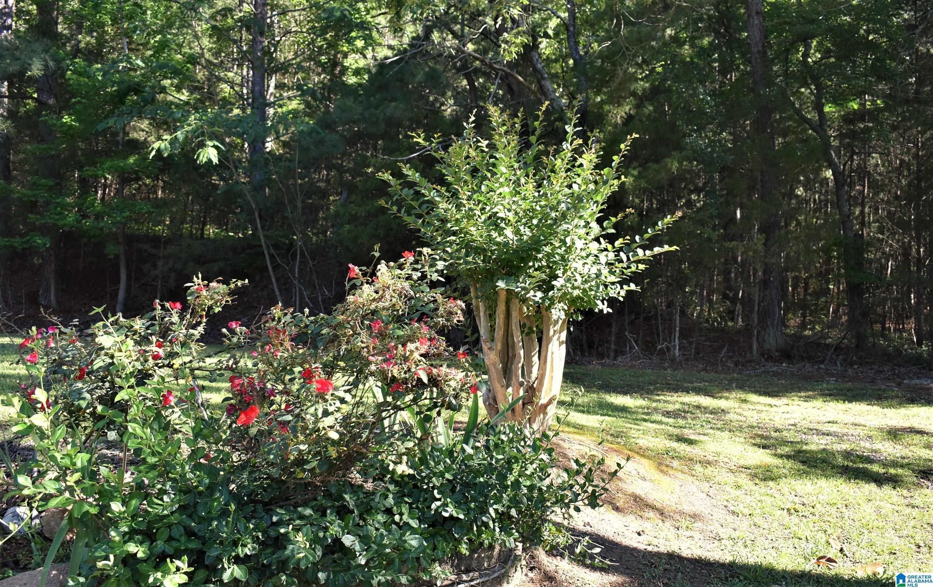3098 Jackson Road Morris, AL 35116 - Photo 5 of 14