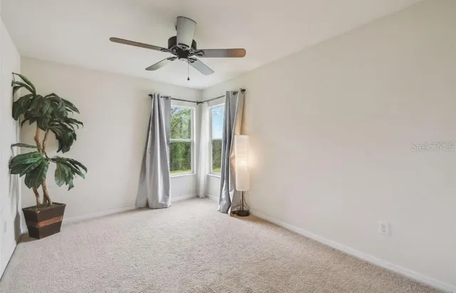 a view of a livingroom with a potted plant