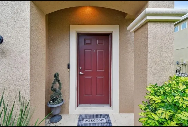a door view with a potted plant