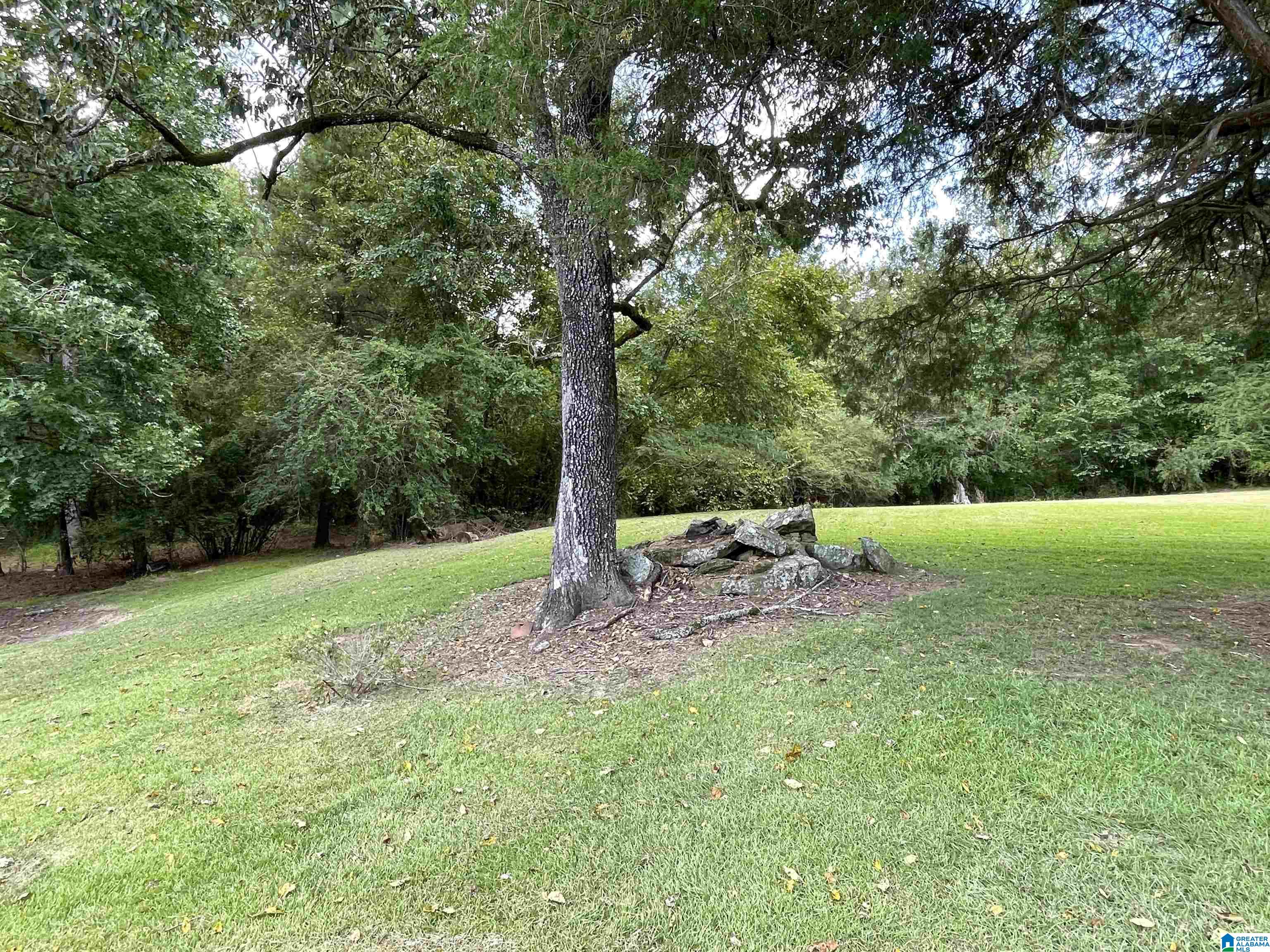 2023 Brookside Coalburg Road Birmingham, AL 35214 - Photo 17 of 51