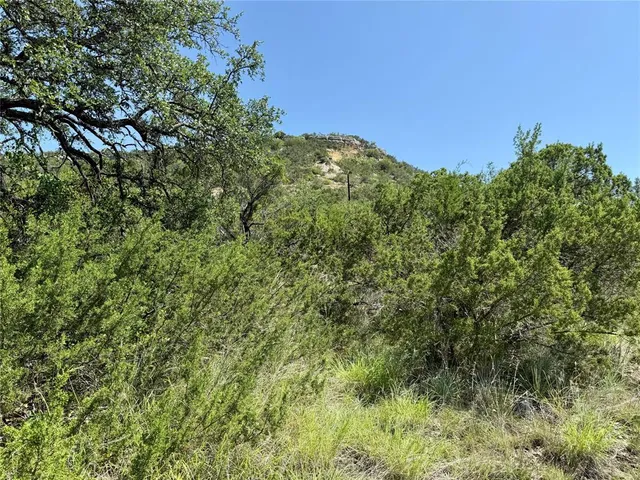 a view of a green field