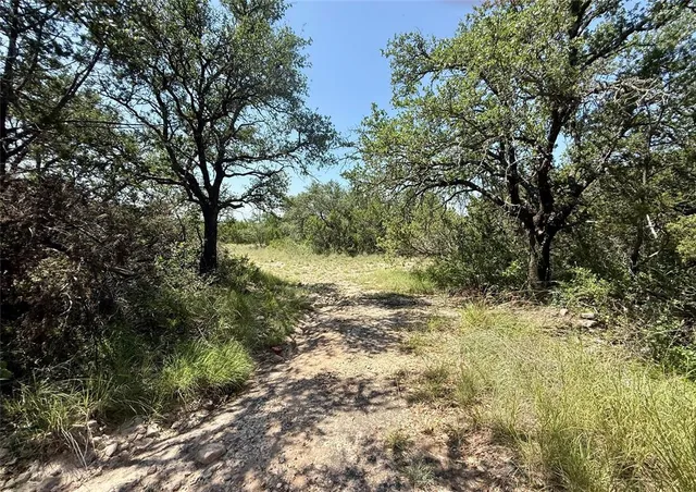 a view of a yard with a tree