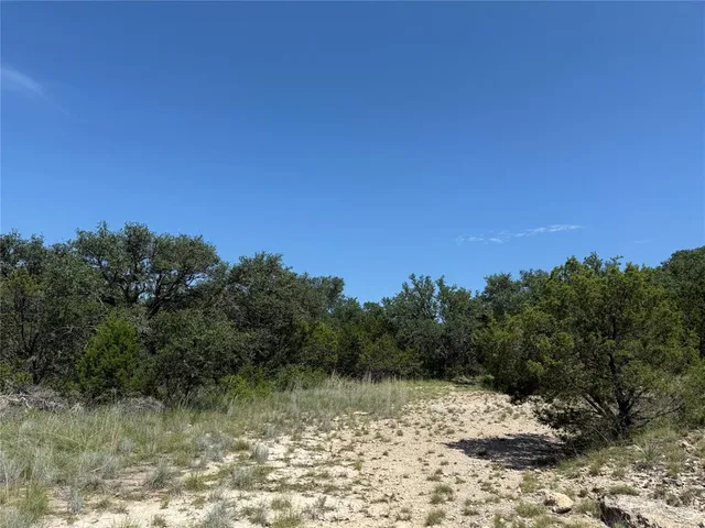 a view of a lake with a forest
