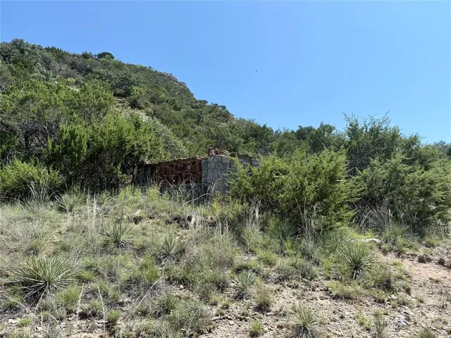 a view of a lush green forest with lots of trees