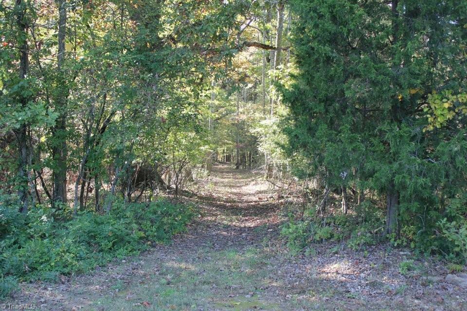 469 Justamere Farm Road Greensboro, NC 27455 - Photo 14 of 30