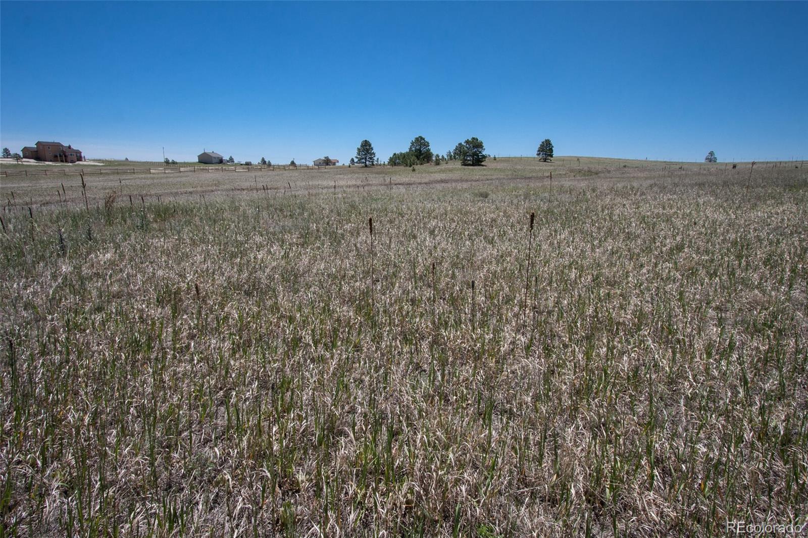 13605 Woodlake Road Elbert, CO 80106 - Photo 15 of 20 Gallery Image 15