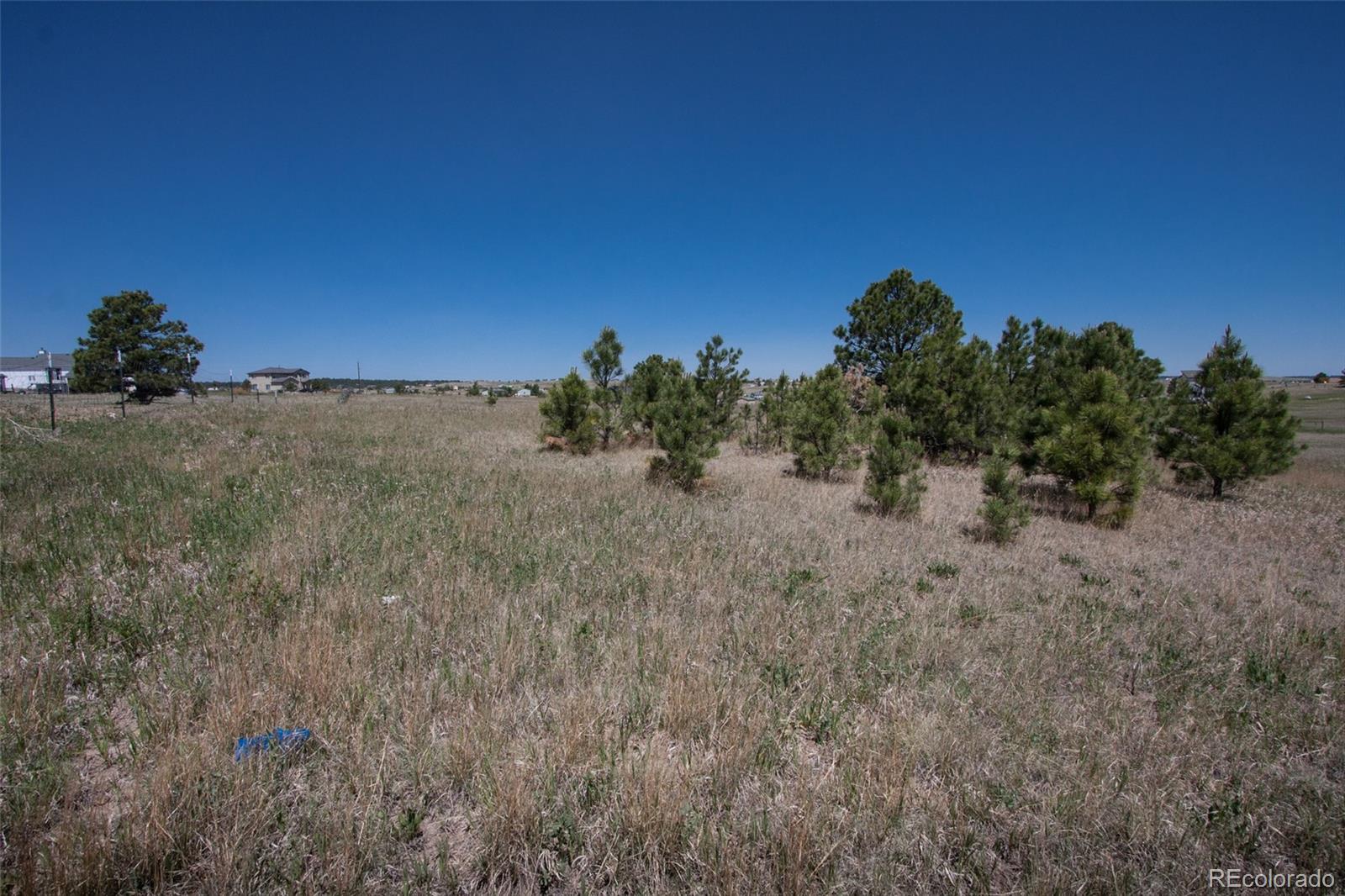 13605 Woodlake Road Elbert, CO 80106 - Photo 10 of 20 Gallery Image 10