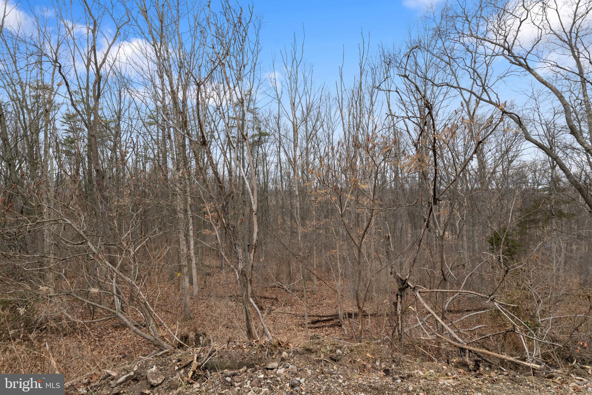 138 South Peiffer Road Wellsville, PA 17365 - Photo 13 of 14 a view of a dry yard with trees in front of it
