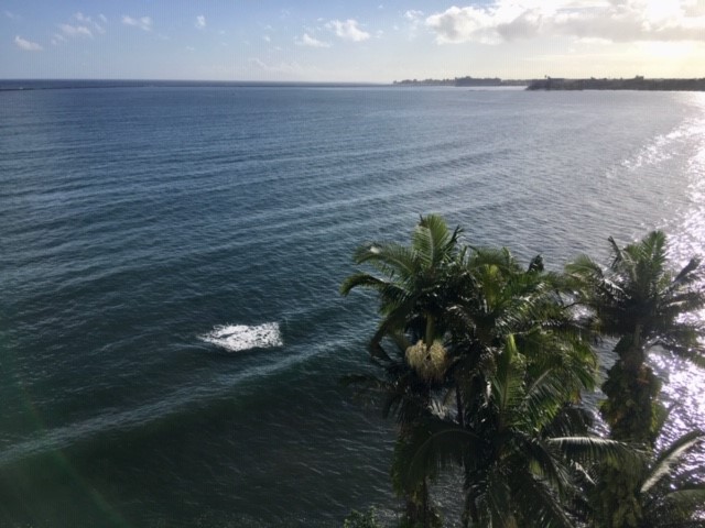 84 Pukihae Street, Unit 804 Hilo, HI 96720 - Photo 10 of 16 a view of a lake