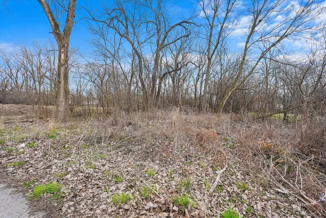 a view of a dry yard with trees