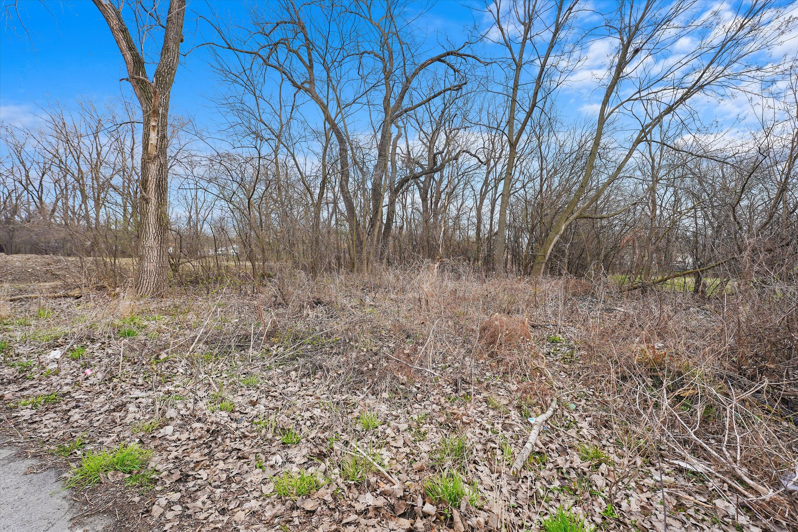13435 South Lawndale Avenue Robbins, IL 60472 - Photo 12 of 16 a view of a dry yard with trees