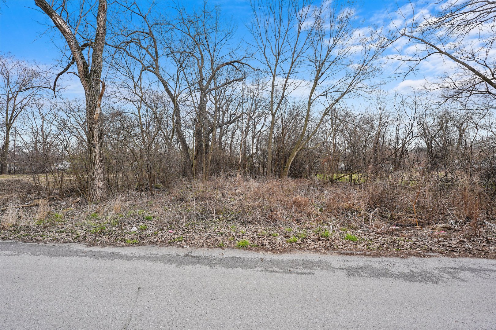 13435 South Lawndale Avenue Robbins, IL 60472 - Photo 13 of 16 a backyard of a house with lots of green space