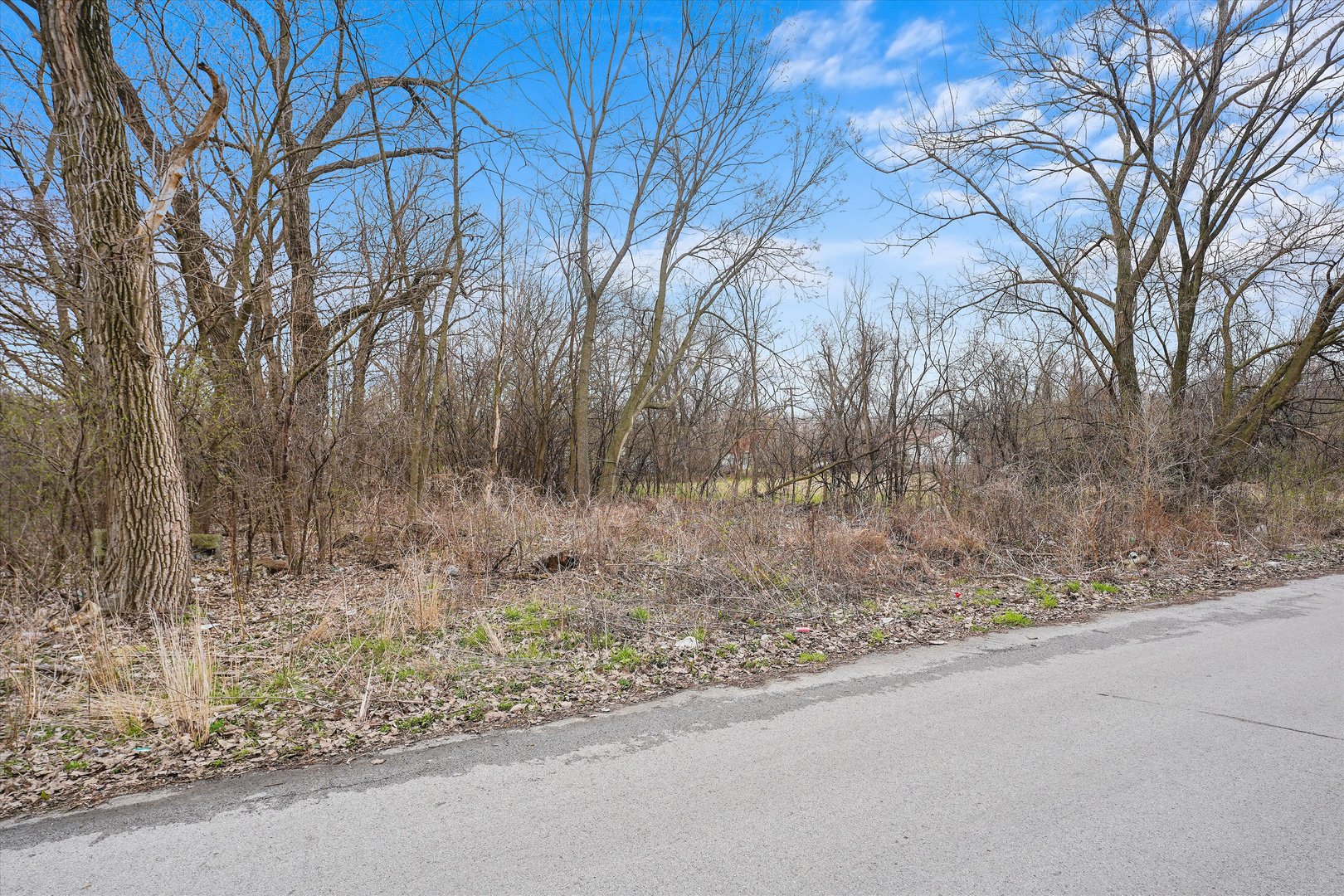 13435 South Lawndale Avenue Robbins, IL 60472 - Photo 14 of 16 a backyard of a house with lots of green space