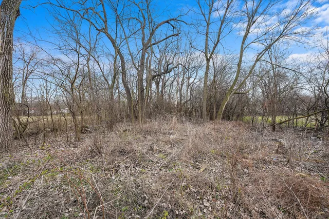 a view of a yard with trees