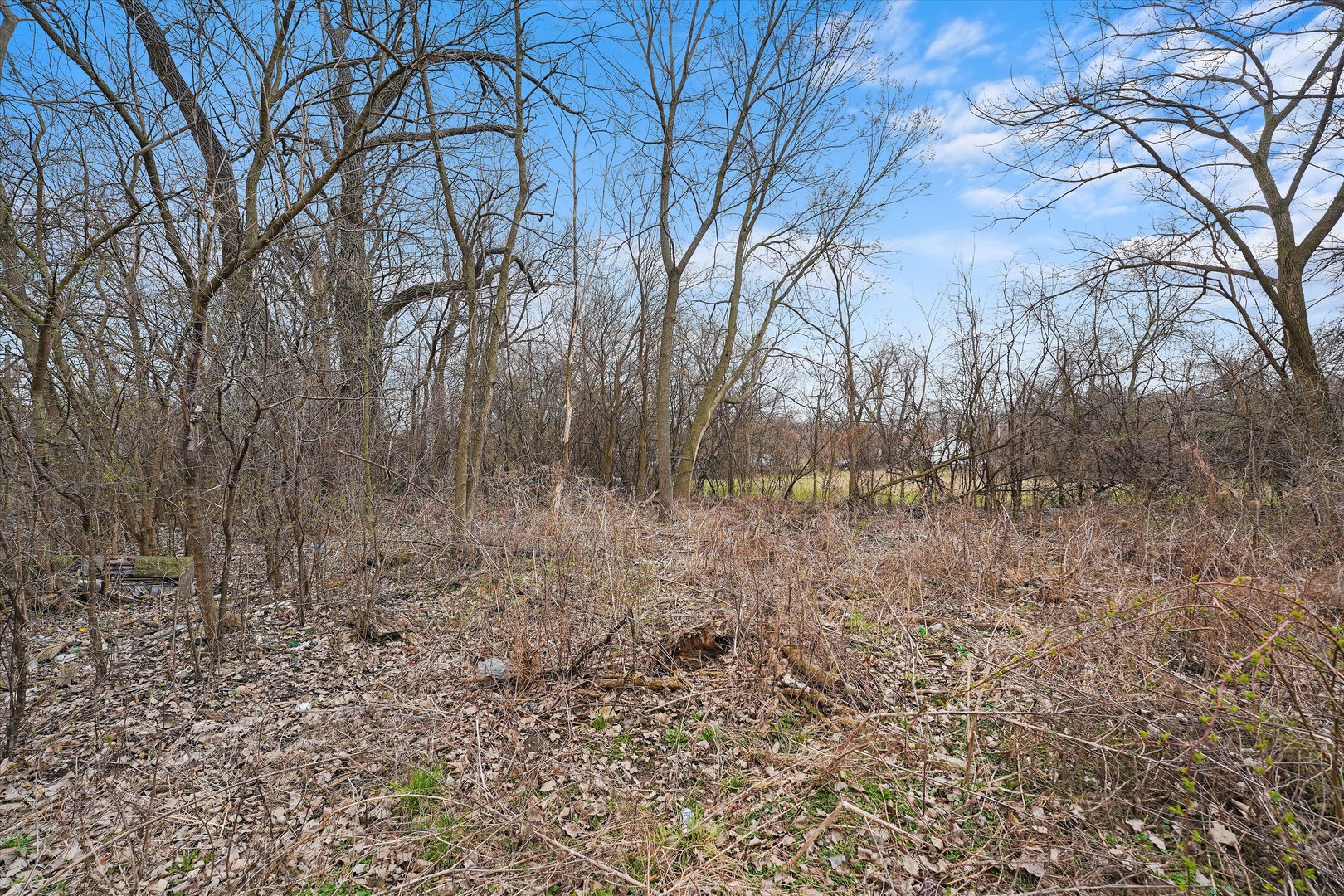 13435 South Lawndale Avenue Robbins, IL 60472 - Photo 16 of 16 a view of a yard with trees