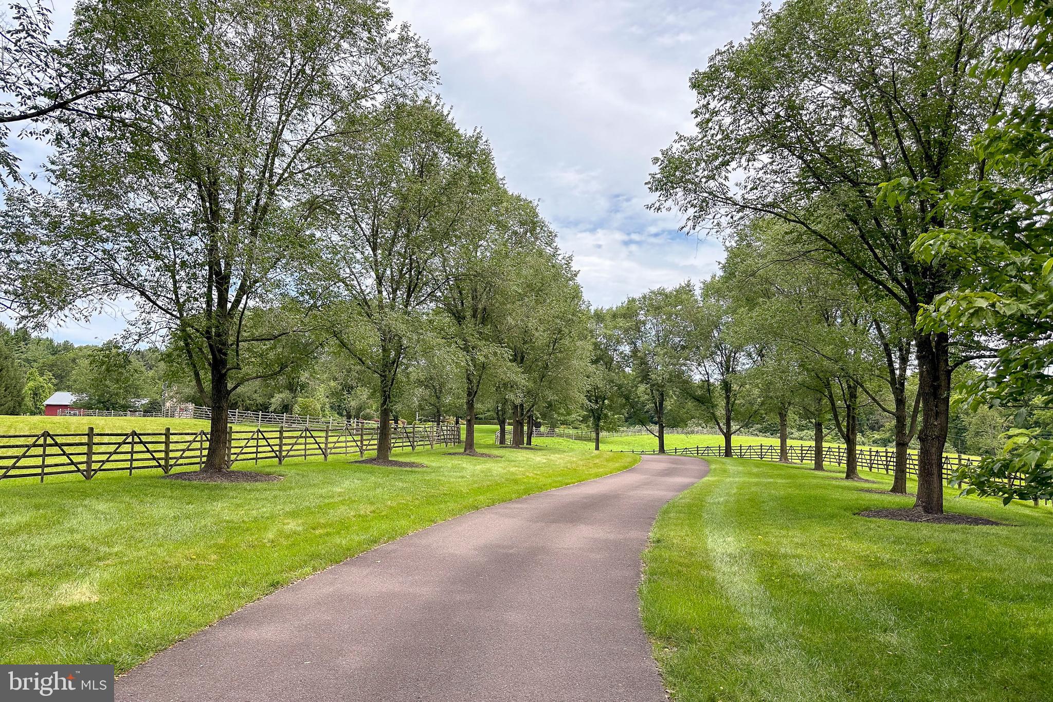 6997 Phillips Mill Road New Hope, PA 18938 - Photo 12 of 85 a view of a park with large trees