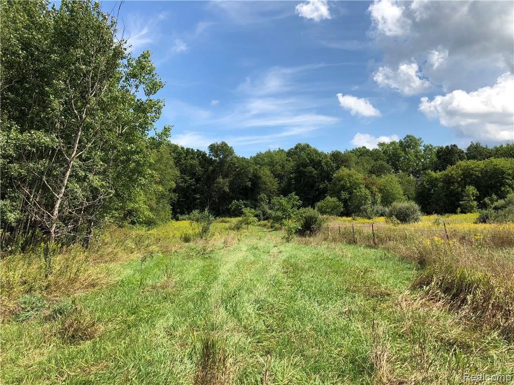 8 Kellogg Road Howell, MI 48843 - Photo 13 of 15