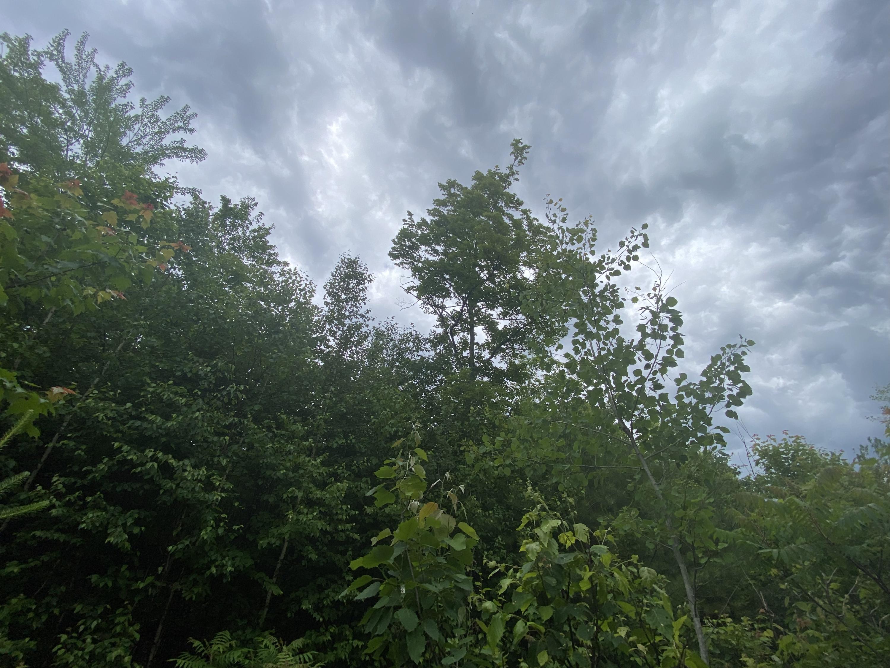 160 Reed's Mill Road Madrid Township, ME 04966 - Photo 13 of 20 Photo Jun 16, 2 41 19 PM